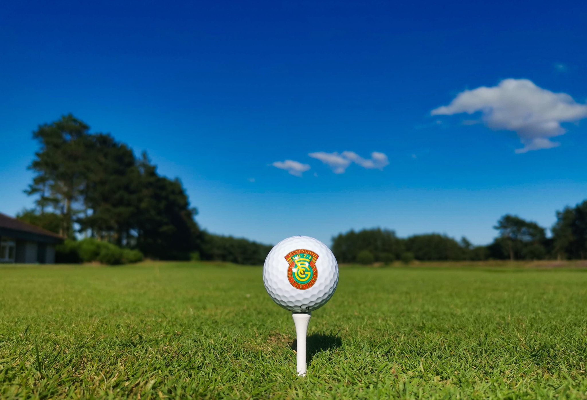 Buggy Policy Forfar Golf Club